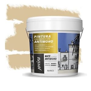 Pintura inter.-exter.