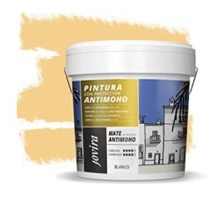 Pintura inter.-exter.