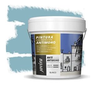 Pintura inter.-exter.