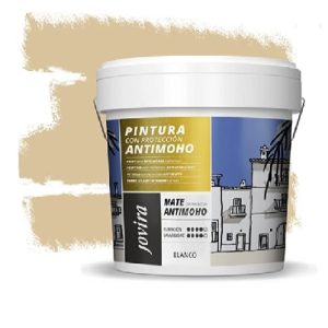 Pintura inter.-exter.